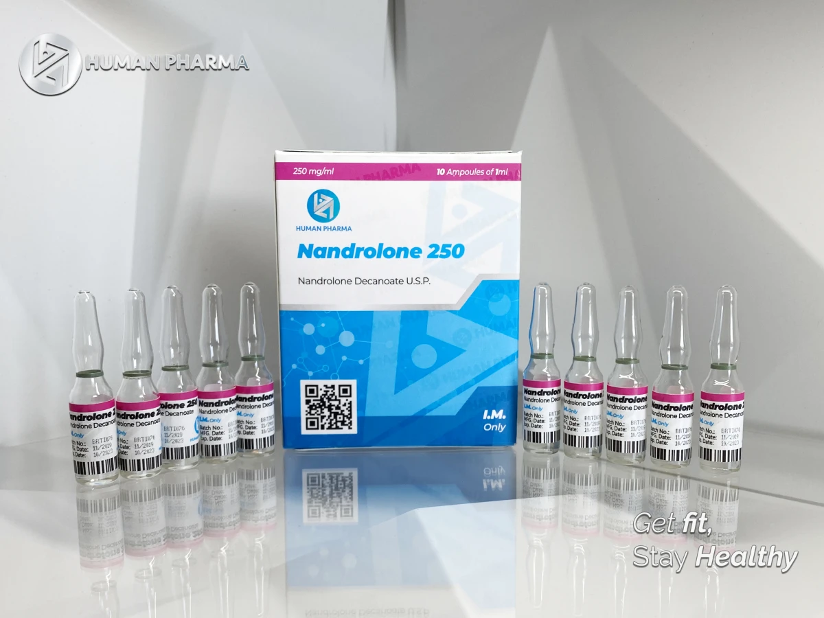 HUMAN NANDROLONE 250 250MG 10AMP/1ML INY