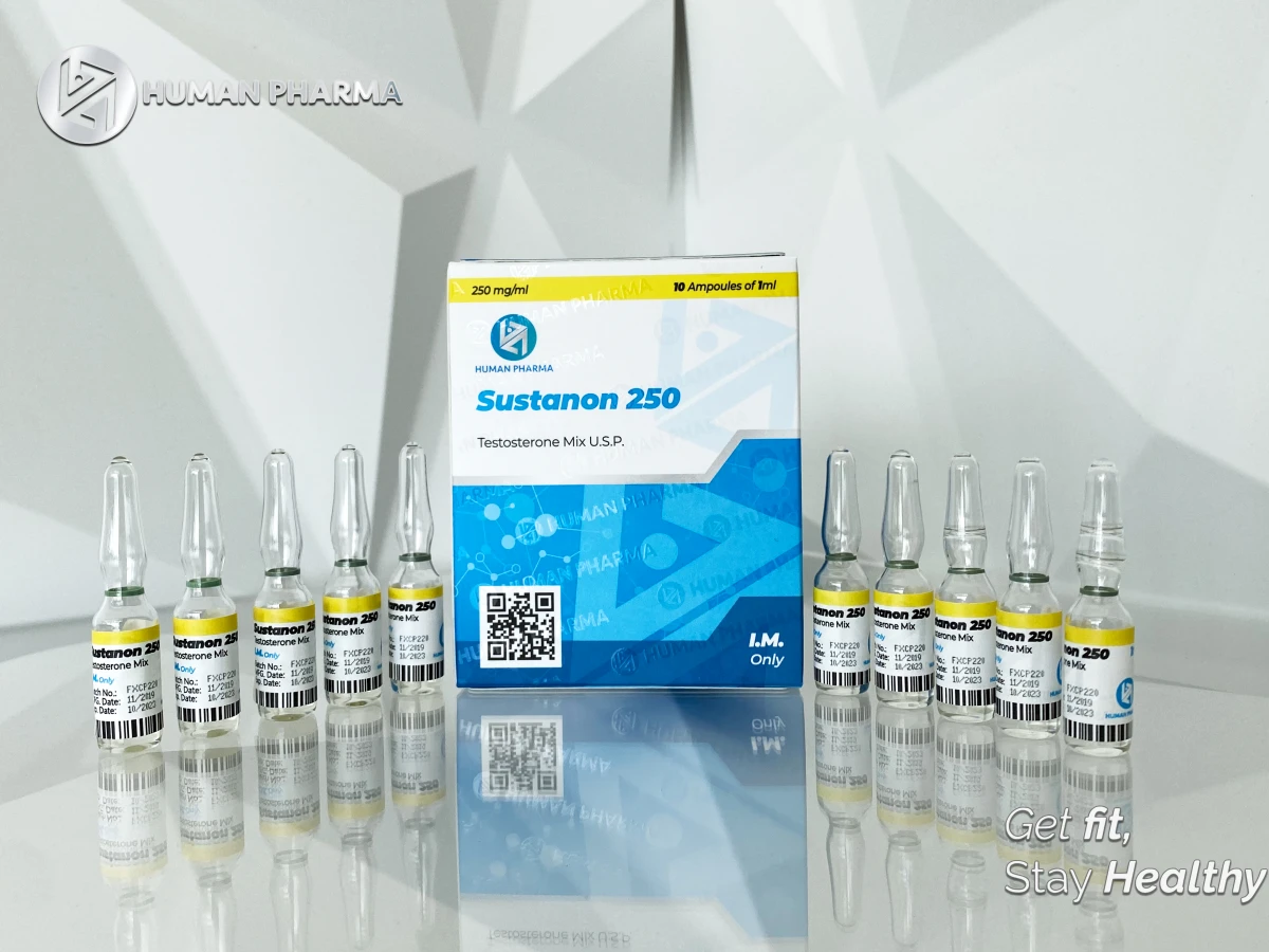 HUMAN SUSTANON 250 250MG 10AMP/1ML