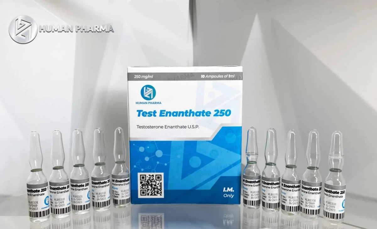 HUMAN TEST ENANTHATE 250 250MG 10AMP/1ML INY