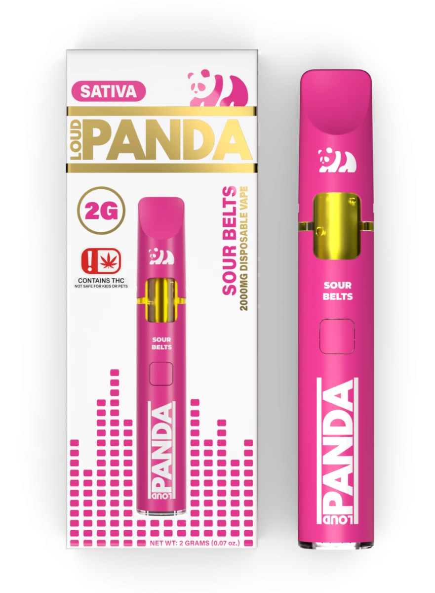 PANDA PANDO 25 SERV SOUR ROBO BELTS "NUEVO"