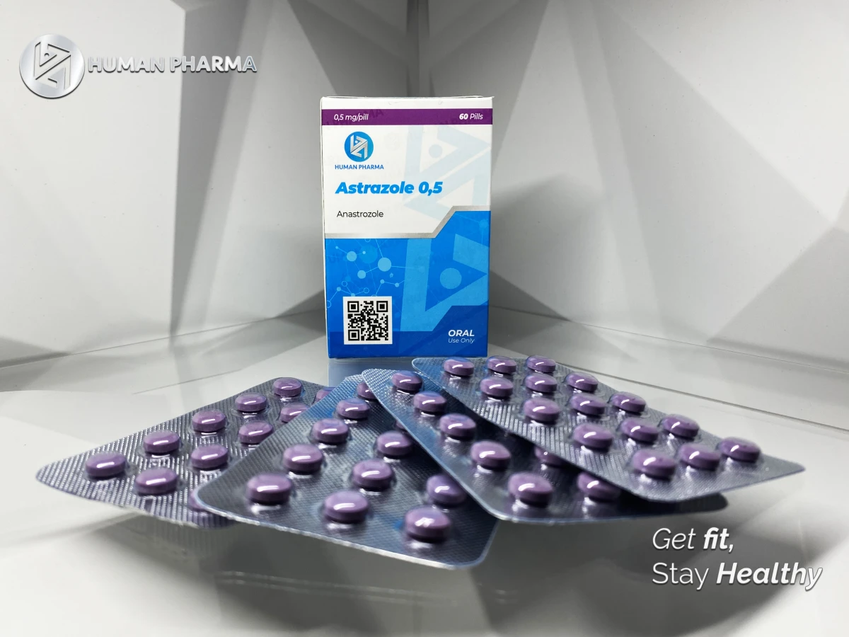 HUMAN ASTROZOLE 0.5  0.5MG 60 TABS