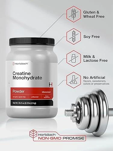 HSL CREATINA 1KG