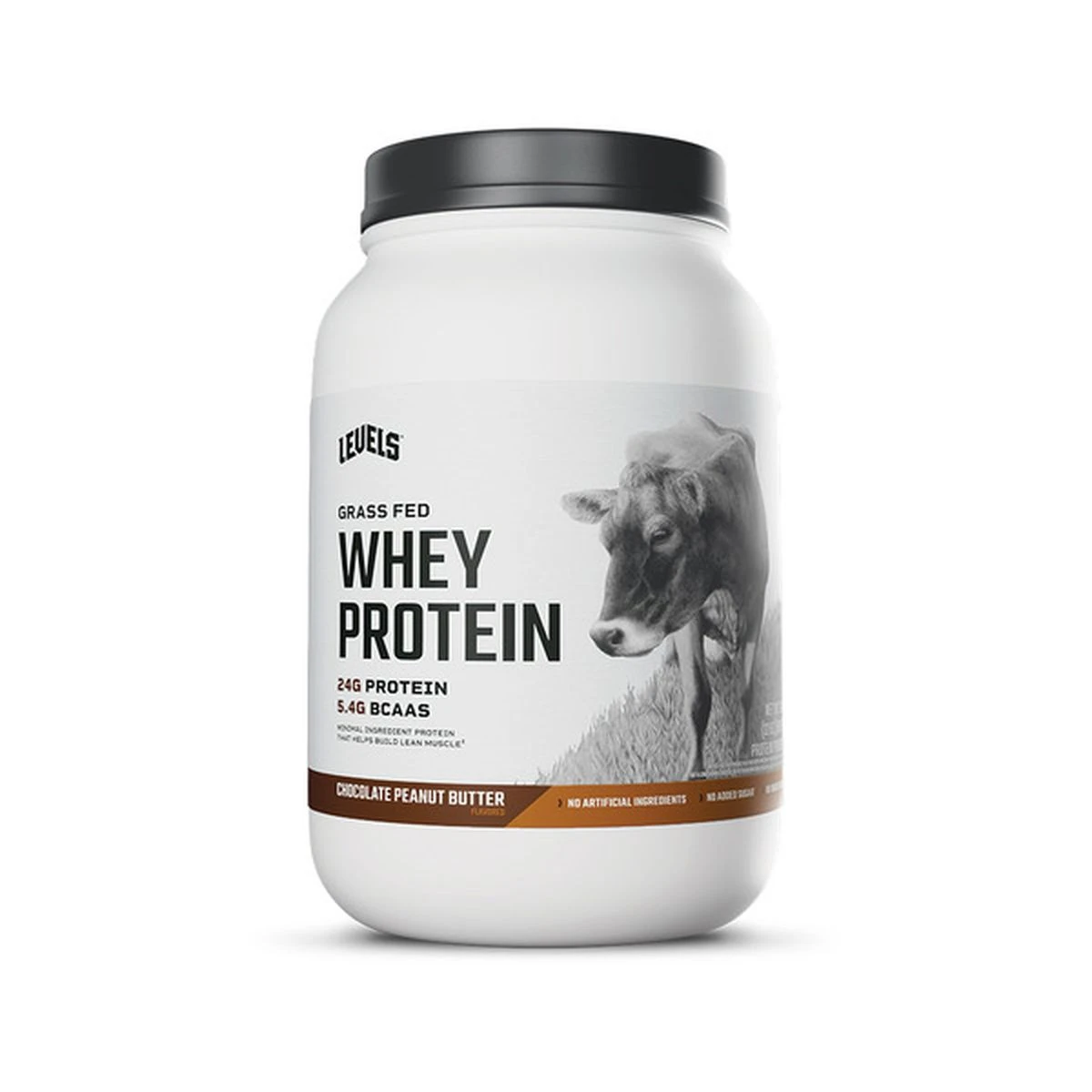 NTFITT WHEY PROTEIN 2 LBS CHOCOLATE PEANUT BUTTER