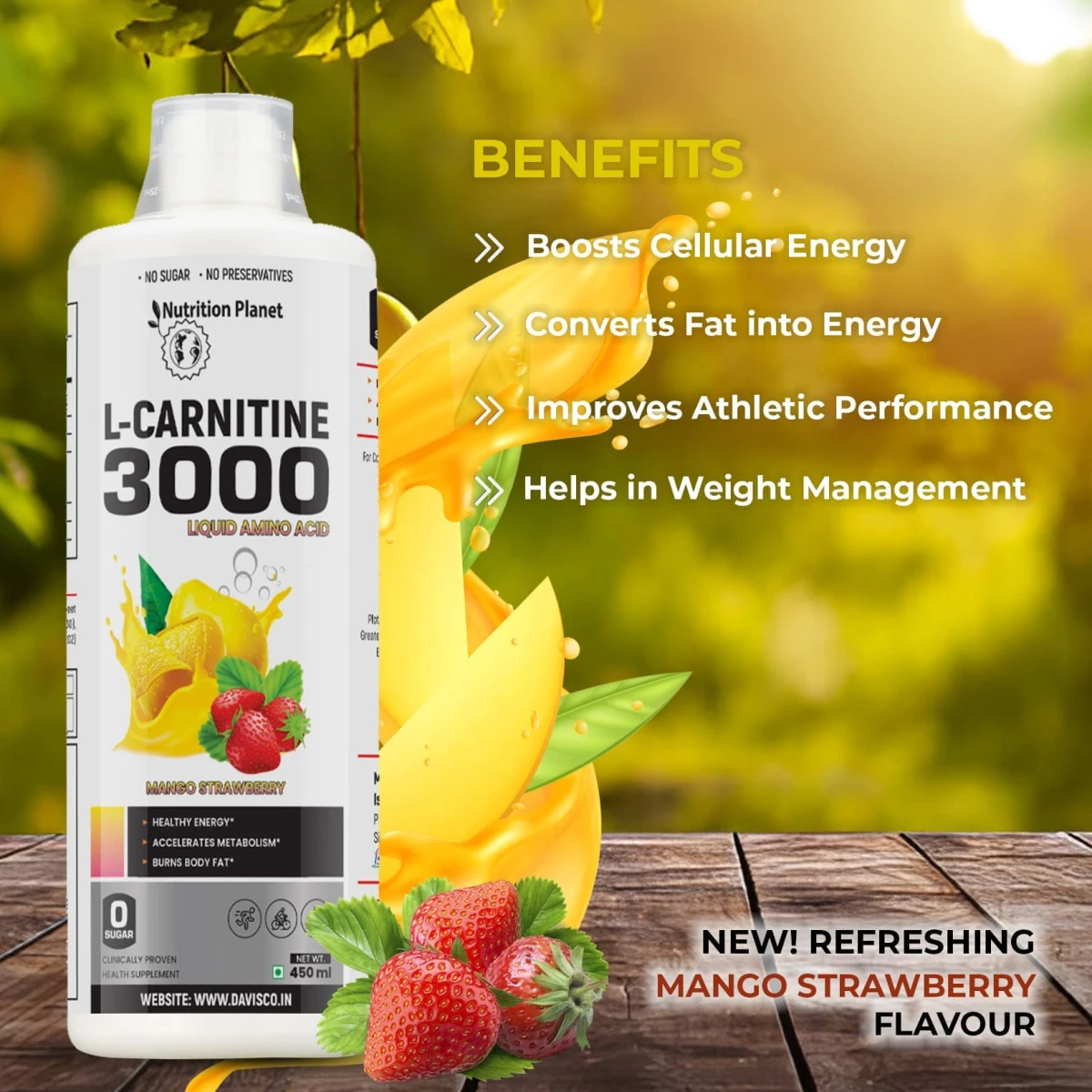 DRAGON L-CARNITINE 32 SERV STRAWBERRY MANGO